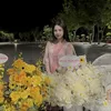 ✨ Hà Lan ✨