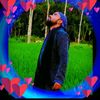 shohel2111