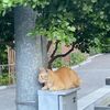 thisuserverycutena