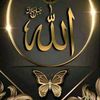 user72937145279300