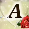 user5508194871517