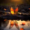 reflexoesdiarias18