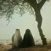 alshoq707