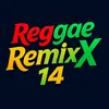 reggaeremixx14
