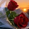 waseem.abbasi172