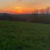 ymot4184