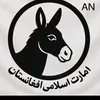 ali714938