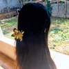 anna.luiza559