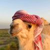 mohamed292829101