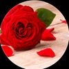 user3614109439924