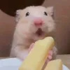lubuxuryy