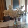 astana_460
