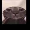 hnvr696