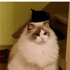 christinaista