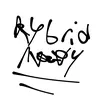 hybridnavy