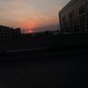 hafezmohamed35