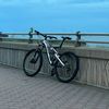 _specialized