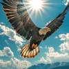 ahmad_kurdi9999