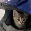 im_obsessed_with_bikess