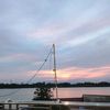 mozay563
