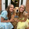 golden.finn3
