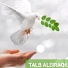 talib.aleiraqiu