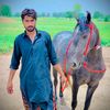 qamar.virk46