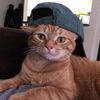 blanemgmg6