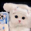 nabila_04100