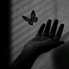 infp0389