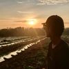 arifwijaya79