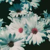 misia_958