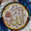 mehranprince939