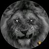 awais.rajoka8
