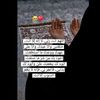 nimco.mohamed992
