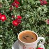 hanann_88