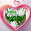 user2308578740930