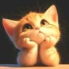 user1311676094836