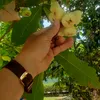 l.thanh.long2