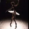 amo_ladanza_classica