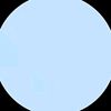 dion_2905