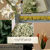 nonamohammed8831