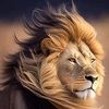 maman.farhan.mh.333.786