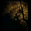 ch_ahmad6035