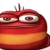 rafazon_conta2