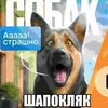 bro_cocucohki