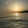 hosam_20.10