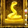 user8441955666075
