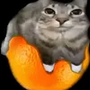 tagmastervr