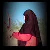 bnt_zhour